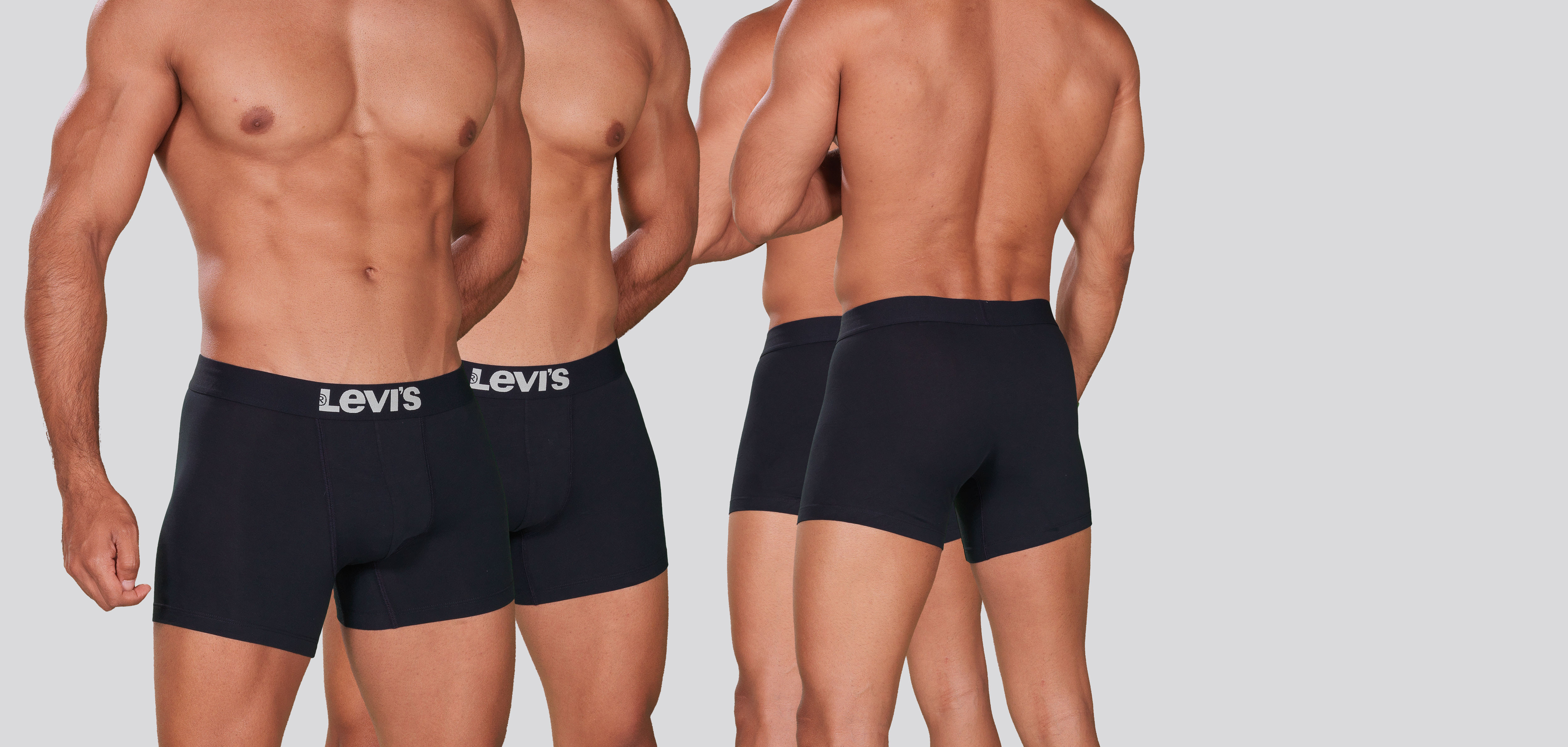 Levi_s Solid Basic Boxer Brief 2-Pack 1001, color Nee
