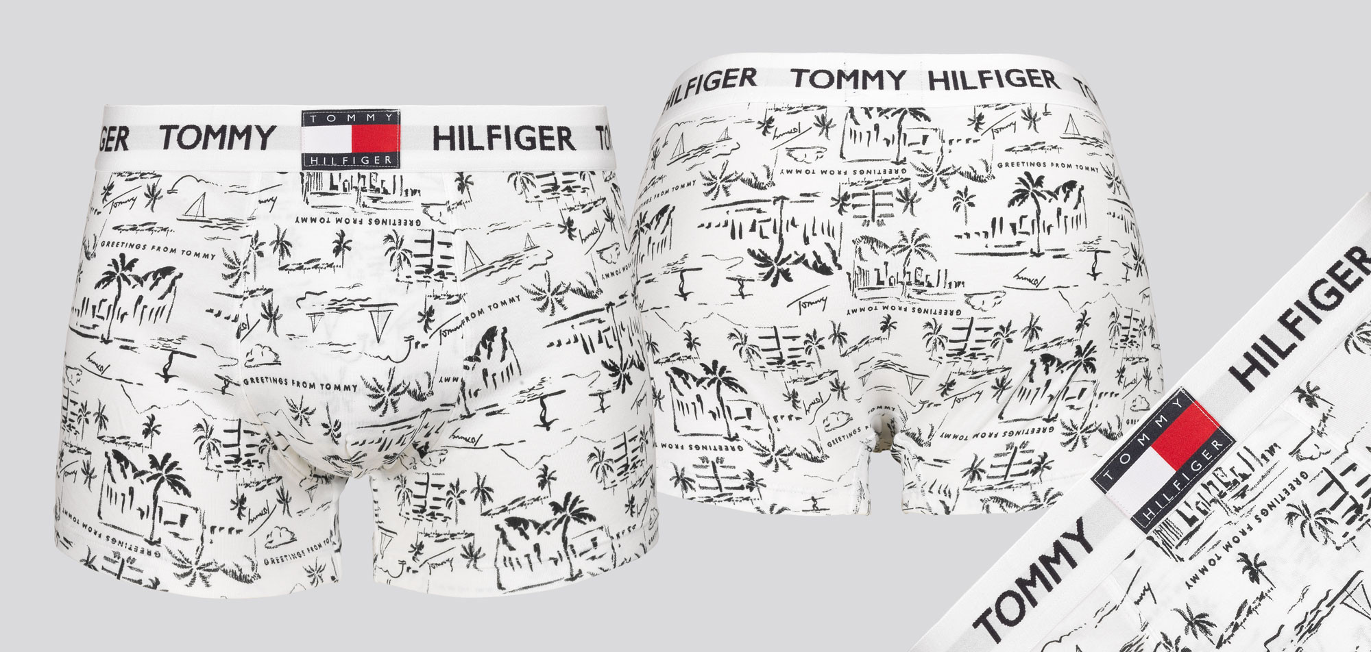 Tommy Hilfiger Trunk Print 832 Greetings White, color Nee
